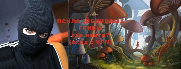 крисы Белоозёрский