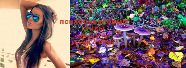стафф Белокуриха