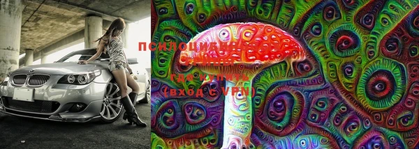стафф Белокуриха