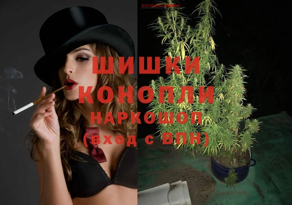 стафф Белокуриха
