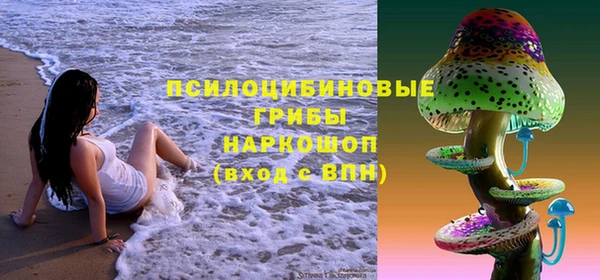 стафф Белокуриха