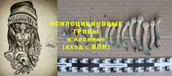 крисы Касимов