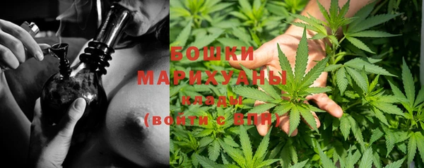 крисы Белоозёрский