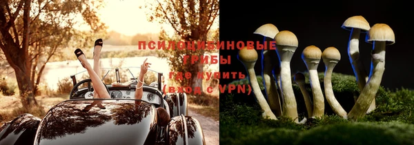 крисы Белоозёрский