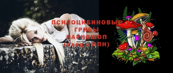 стафф Белокуриха
